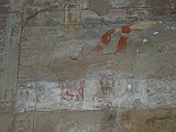 egitto lupo 3 165